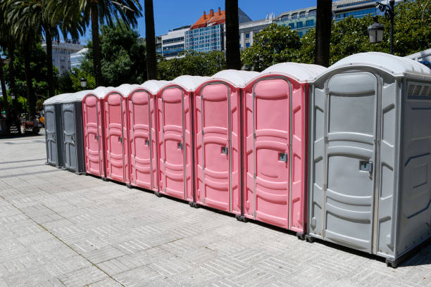 Best Standard Portable Toilet Rental  in Poplarville, MS